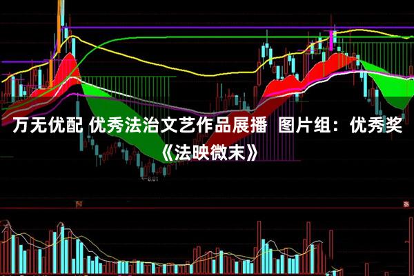 万无优配 优秀法治文艺作品展播  图片组：优秀奖《法映微末》