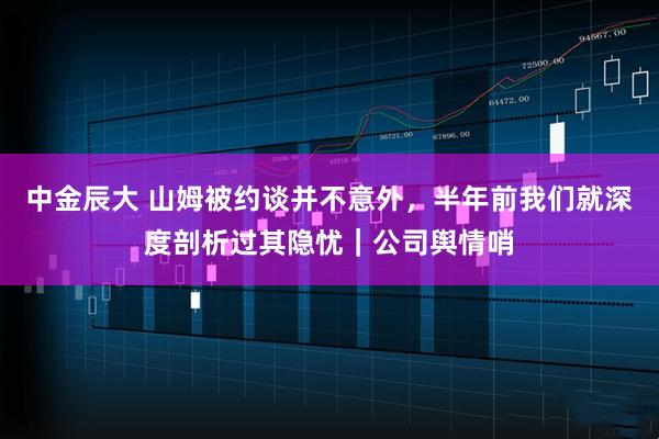 中金辰大 山姆被约谈并不意外，半年前我们就深度剖析过其隐忧｜公司舆情哨