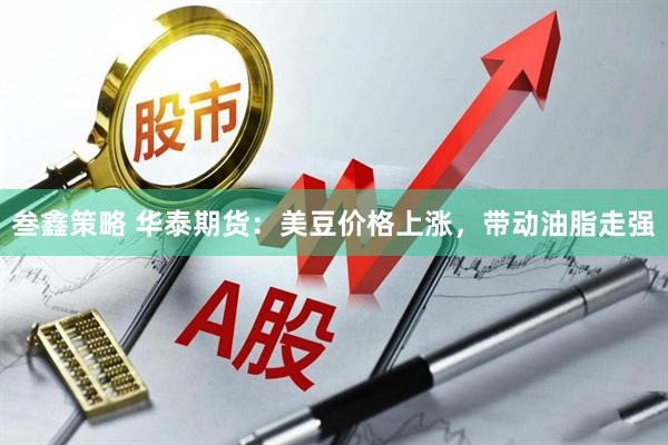 叁鑫策略 华泰期货：美豆价格上涨，带动油脂走强